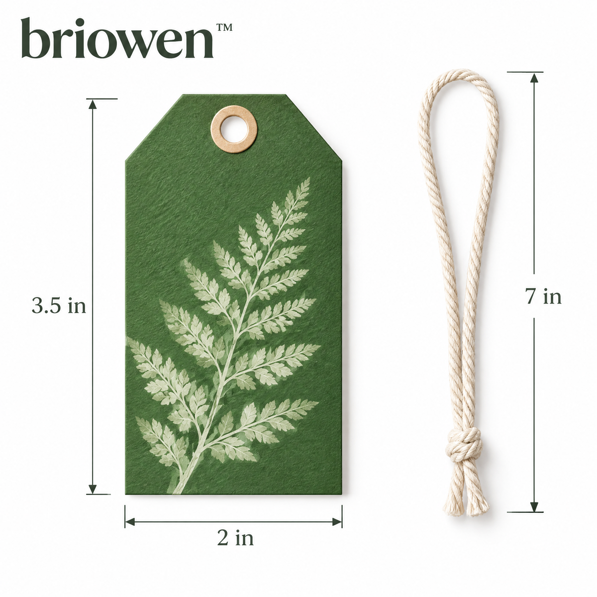 𝐛𝐫𝐢𝐨𝐰𝐞𝐧™ Fern Botanical Gift Tags with Cotton String Set